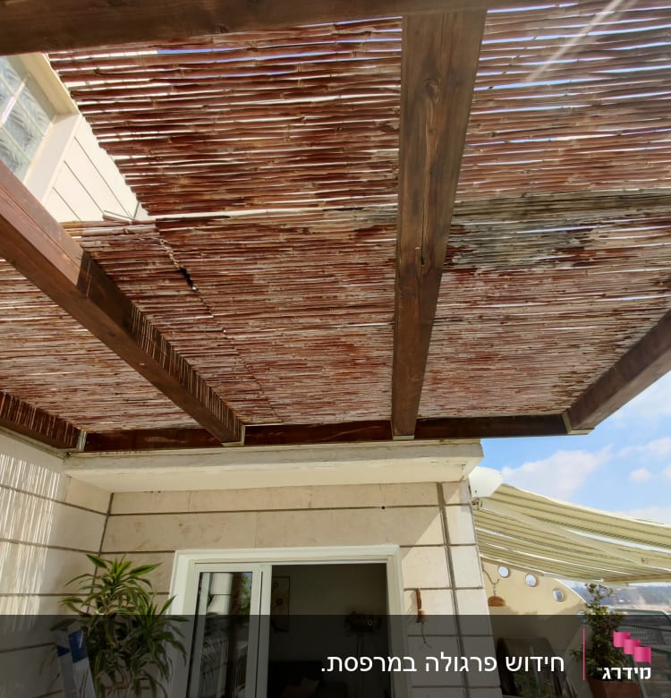 פרגולה מעץ עם קורות במרפסת חיצונית